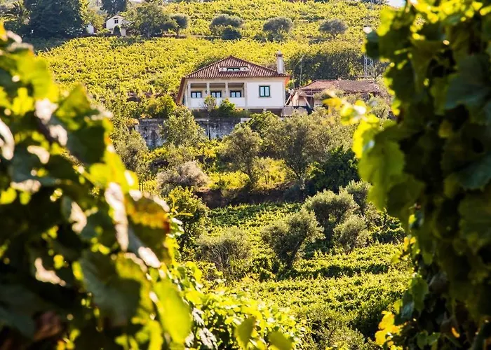 Villa Quinta Da Mesquinhata *